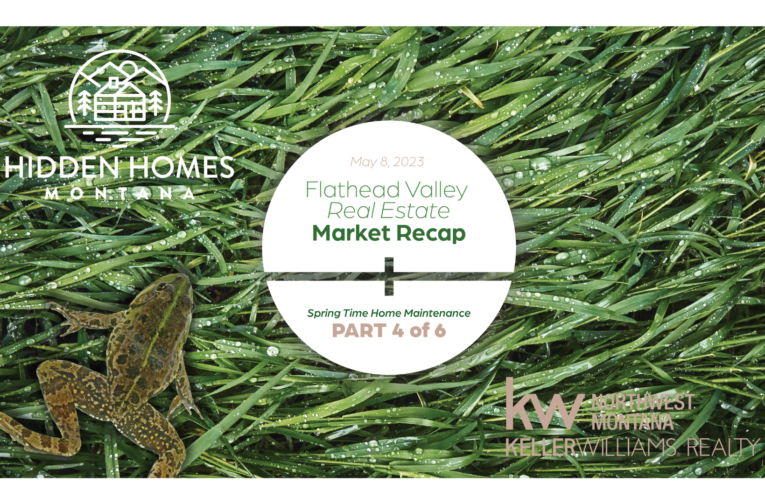 Wet grass with a frog and the words 'Flathead Valley Real Estate Market Recap Part 4 of 6 Spring Time Home Maintenance'
